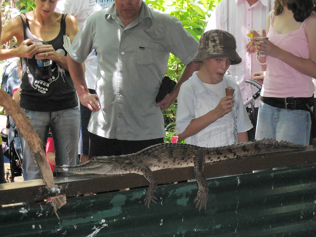 CairnsTC273 Wildlife Habitat.jpg